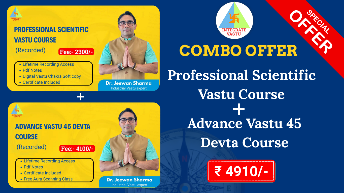 Combo : Professional Vastu + Advance 45 Devta Energy Vastu (Recorded)